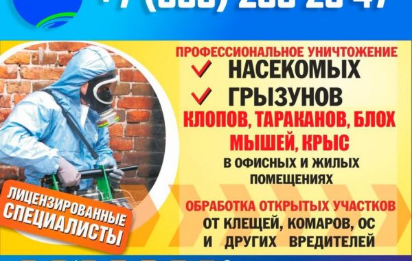 Уничтожение насекомых и грызунов в ЛНР оказываем услуги
