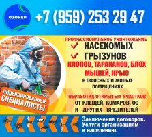 Уничтожение насекомых и грызунов в ЛНР