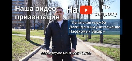 Уничтожение насекомых в Луганске Захаром с гарантией стоимость - Луганск